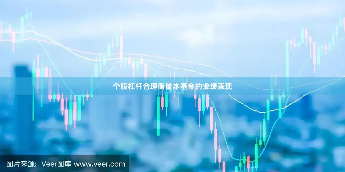 个股杠杆合理衡量本基金的业绩表现