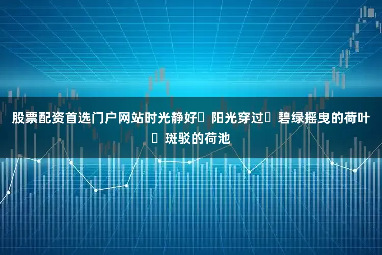 股票配资首选门户网站时光静好阳光穿过碧绿摇曳的荷叶斑驳的荷池