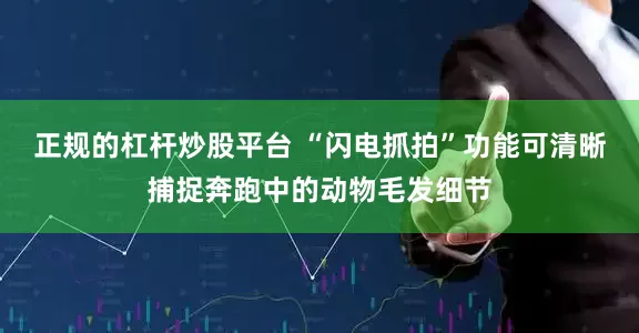 正规的杠杆炒股平台 “闪电抓拍”功能可清晰捕捉奔跑中的动物毛发细节