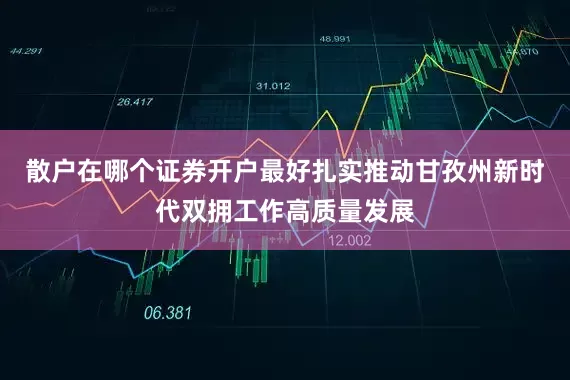 散户在哪个证券开户最好扎实推动甘孜州新时代双拥工作高质量发展