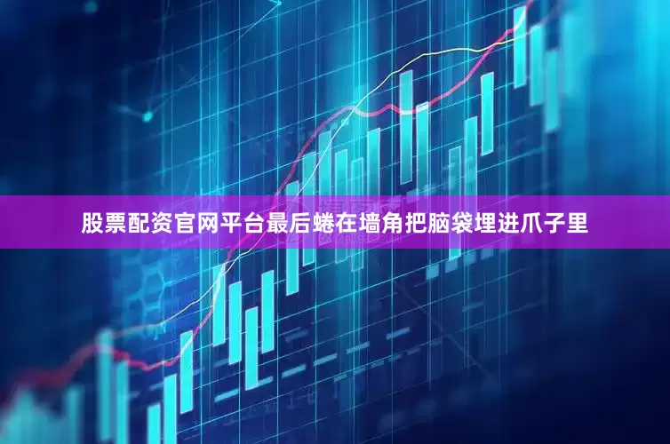 股票配资官网平台最后蜷在墙角把脑袋埋进爪子里